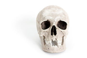 Human skull on white background