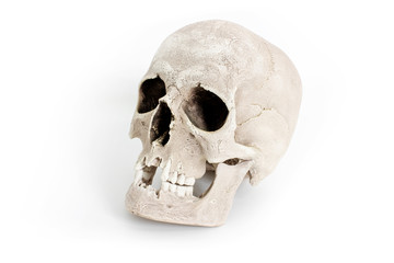Human skull on white background