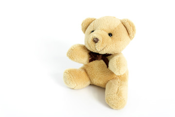 Brown teddy bear on white background