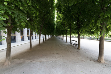 Palais royal