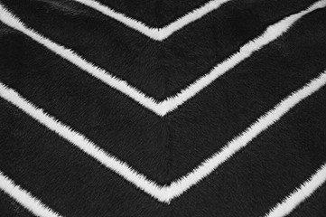 Fur texture. Gray background with white stripes.