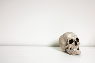 Human skull laid on white desk in front of white wall with space around