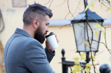 Businessman bearded guy drink coffee outdoors. Hipster hold paper coffee cup and enjoy park...