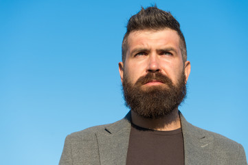 Barber tips maintain beard. Hipster appearance. Beard fashion and barber concept. Man bearded...