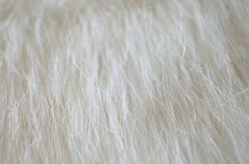 White fur 