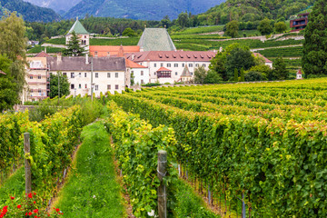 Fototapeta na wymiar Monastery Neustift with vineyards, Brixen, Italy