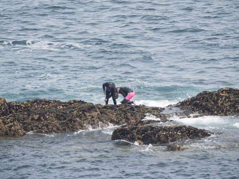 Dos personas recolectando percebes en La Coru&ntilde;a , en medio del mar, verano de 2018
