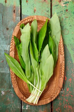 Fresh wild garlic in a wooden bowl
