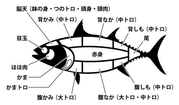 マグロ解体 の画像 346 件の Stock 写真 ベクターおよびビデオ Adobe Stock