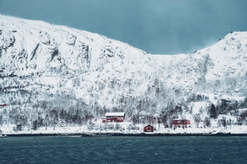 Red rorbu houses in Norway in winter