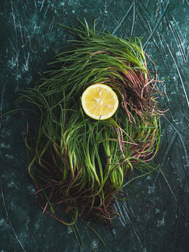 Raw agretti (barba di frate, Salsola soda) over green background to be cooked with lemon juice