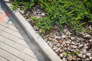 decorative bark powder in landscape design