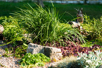 stones and decorative bushes in landscape design
