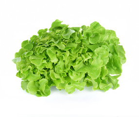 Salad leaf Lettuce isolated on white background