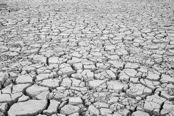 View of cracked and parched soil ground after drought in black and white.