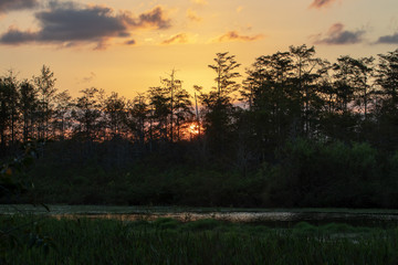 sunset with preserve and canal