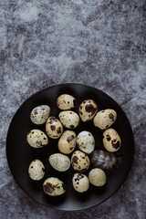 group of quail egg  on cement background, easter concept, top view  