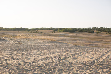 Fototapeta na wymiar nature. steppe. sand. conservation area. landscape