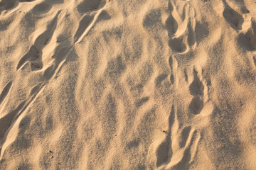 footprints in the sand. traces. desert. more sand