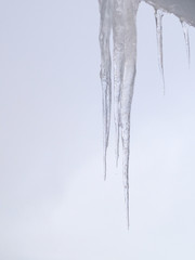 Icicles on the background of the grey sky