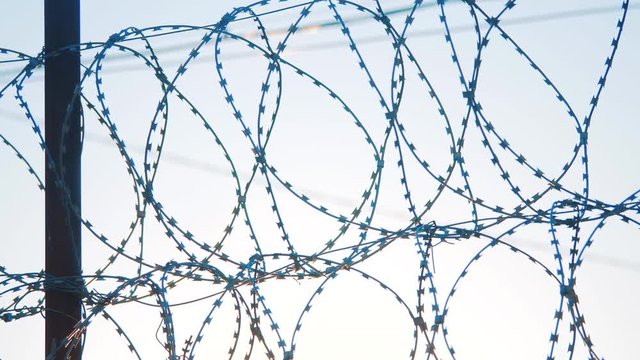 fence prison strict regime silhouette barbed wire. illegal immigration fence from refugees. illegal immigration concept prison prison lifestyle fence