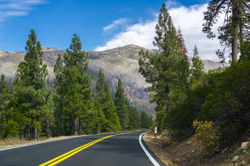 Driving through the Sierra mountains on a sunny day, California