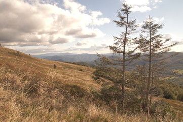 Fototapeta premium Jeseiń w Bieszczadach - widok ze szlaku na Tarnicę