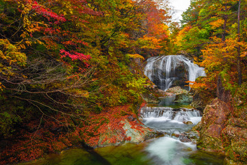 Waterfall among many foliage, In the fall leaves Leaf color change In Yamagata, Japan