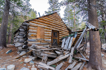 The ruins of an old wooden cabin in the woods of Eastern Sierra mountains, California