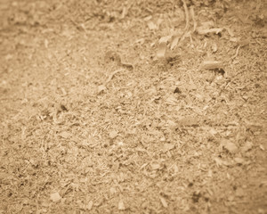 Sawdust