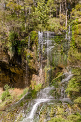 Fototapeta na wymiar Mokoroa Falls, Waitakere, New Zealand
