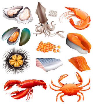 Set of seafood on white background