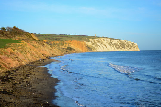 Chalk Cliff at Sandown Bay, Isle of Wight