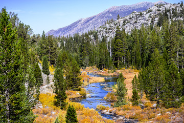 Rock Creek (on the Little Lakes Valley hiking trail) surrounded by meadows and evergreen forests in the Eastern Sierra mountains, California