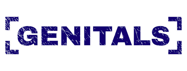 GENITALS caption seal print with corroded texture. Text caption is placed inside corners. Blue vector rubber print of GENITALS with unclean texture.