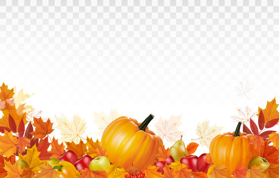 Happy Thanksgiving Background with colorful leaves and autumn vegetables Vector.