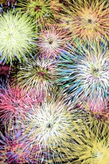 Fototapeta premium Fireworks, New Years Eve, celebration sky show bursts or creative color with space for text, unique vertical background