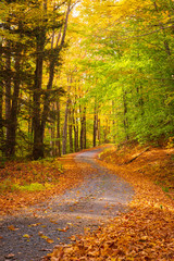 Winding Autumn Road in Upstate NY