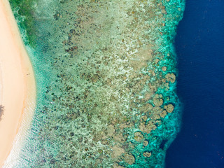 Aerial top down view coral reef tropical caribbean sea, turquoise blue water. Indonesia Moluccas...