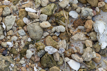 pebbles on the shorline