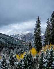 Utah Fall Scenes