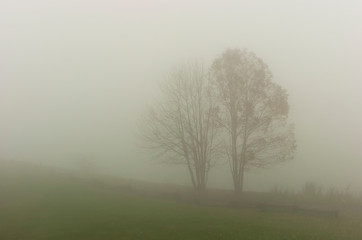 Fototapeta na wymiar Morning fog; Blue Ridge Parkway; Virginia