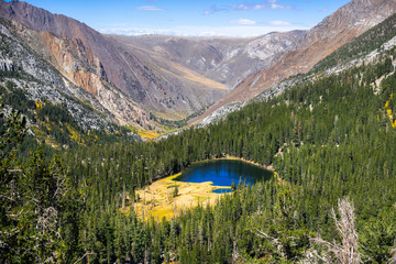 Aerial view Grass Lake surrounded by evergreen forests in the Eastern Sierra mountains, California