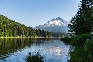 Mt. Hood