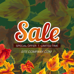 Obraz premium Trendy design of modern web banner with word Sale and autumnal leaves on green background