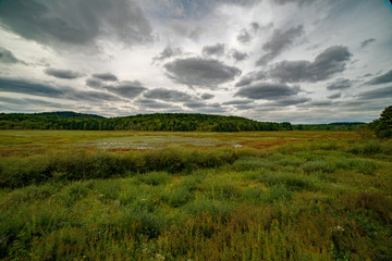 View from observatory overlooking wildlife refuge under cloudy sky
