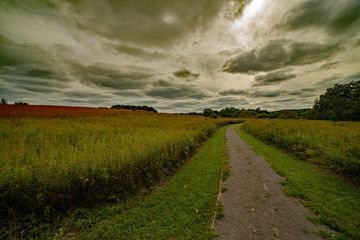 Fototapeta na wymiar Trail along the meadow under cloudy autunm sky