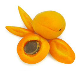 Sweet and healthy apricot on white background, fresh fruits