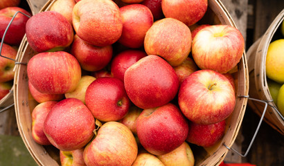 AppleS Fresh Picked in a Bushel BASKET fresh food produce