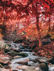 Autumn mountain landscape beside a swift flowing stream with small waterfalls. Outdoor recreation. Hiking the Appalachian Trail and Blue Ridge Mountains.